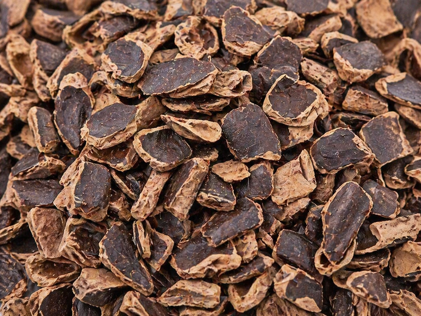Close-up of coarse kibbled carob pulp pieces showing a structured ingredient format for feed applications
